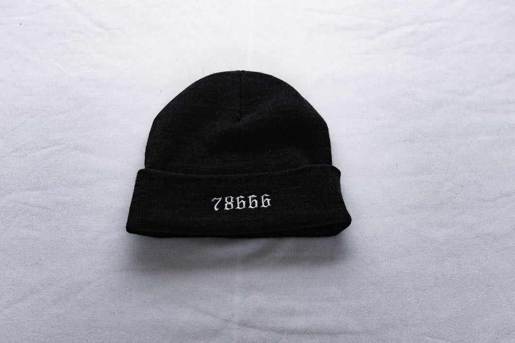 78666 Beanie (Gray) (Double Embroidered)